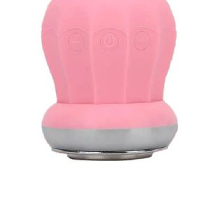 فیس براش مینی