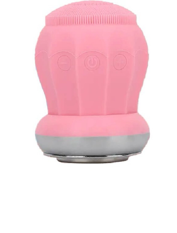 فیس براش مینی